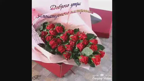 Эти цветы вам♡