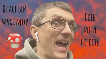 Красный мухомор | Микродозинг | Мой первый опыт |Рекомендации | Отзыв о магазине